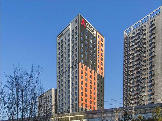 石家庄苹果红梨树苗